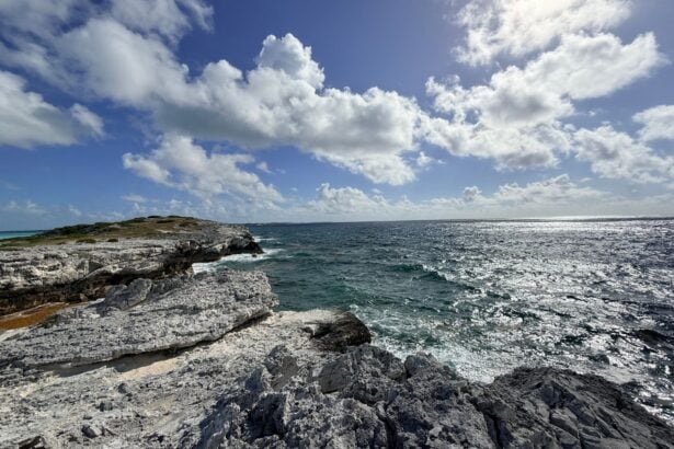 wall-to-wall-a-turks-and-caicos-dive-trip-in-three-acts