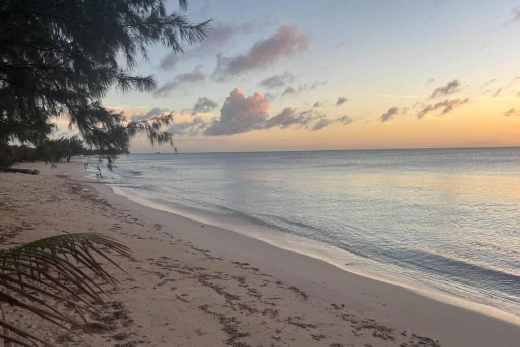 wall-to-wall-a-turks-and-caicos-dive-trip-in-three-acts
