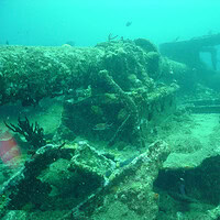 Marine growth covering the wreck of RMS Rhone in the British Virgin Islands
