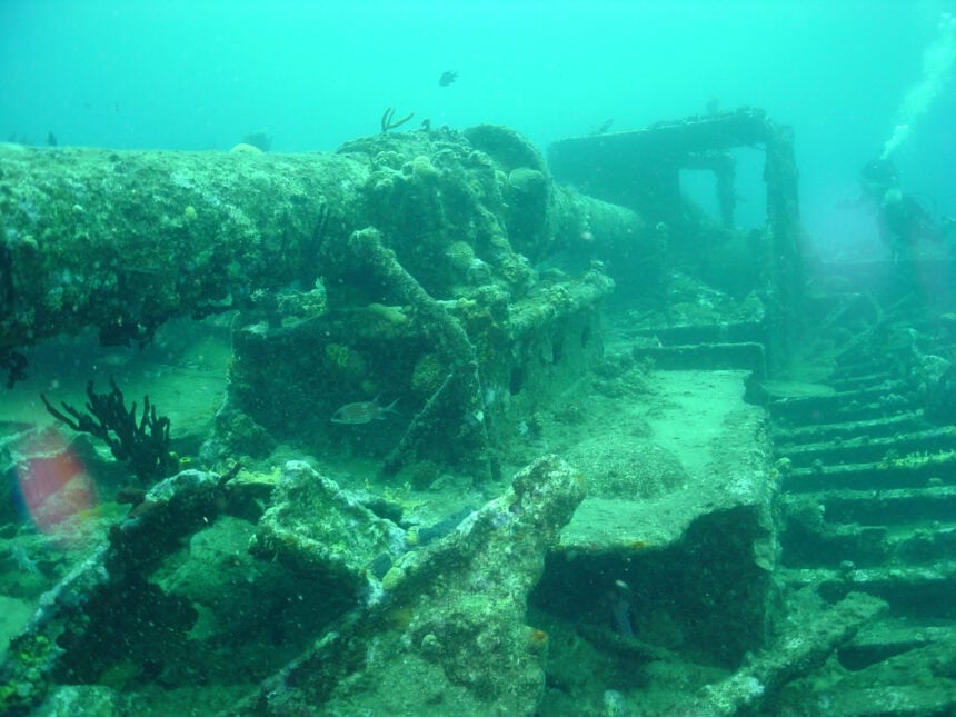 Marine growth covering the wreck of RMS Rhone in the British Virgin Islands