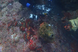 Underwater photographer taking a photograph at Rambler Rock