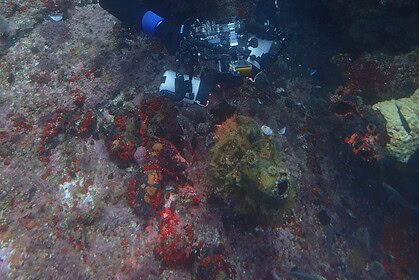 Underwater photographer taking a photograph at Rambler Rock