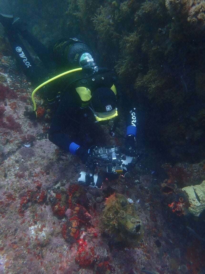 Underwater photographer taking a photograph at Rambler Rock