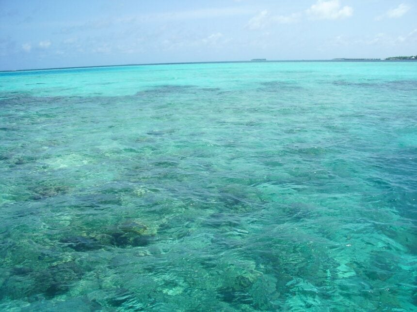Coral reefs in the Maldives